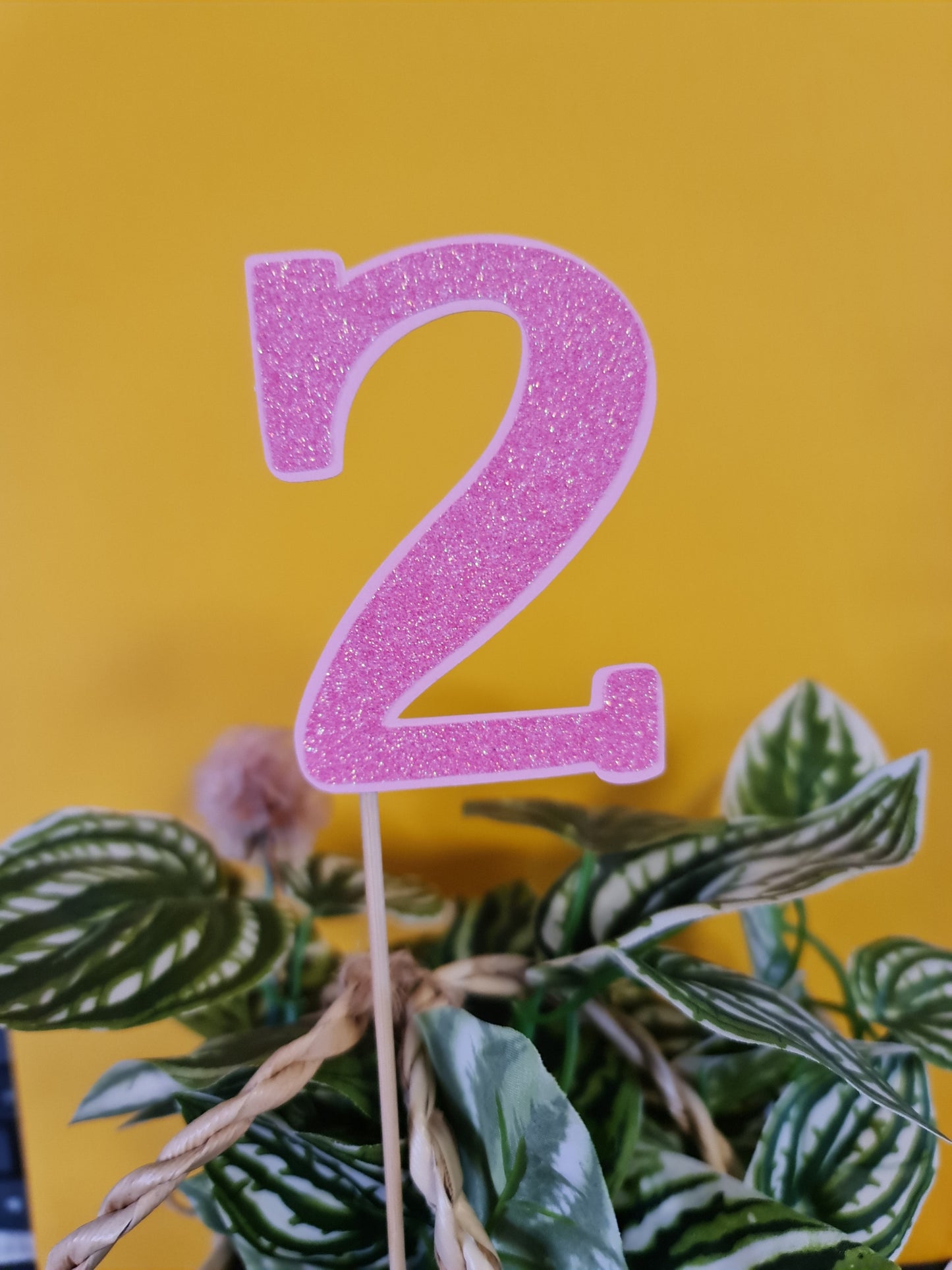 Cake Topper