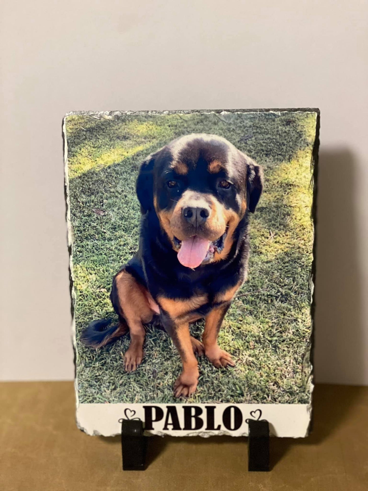 Rock/Plaque Slate (medium)