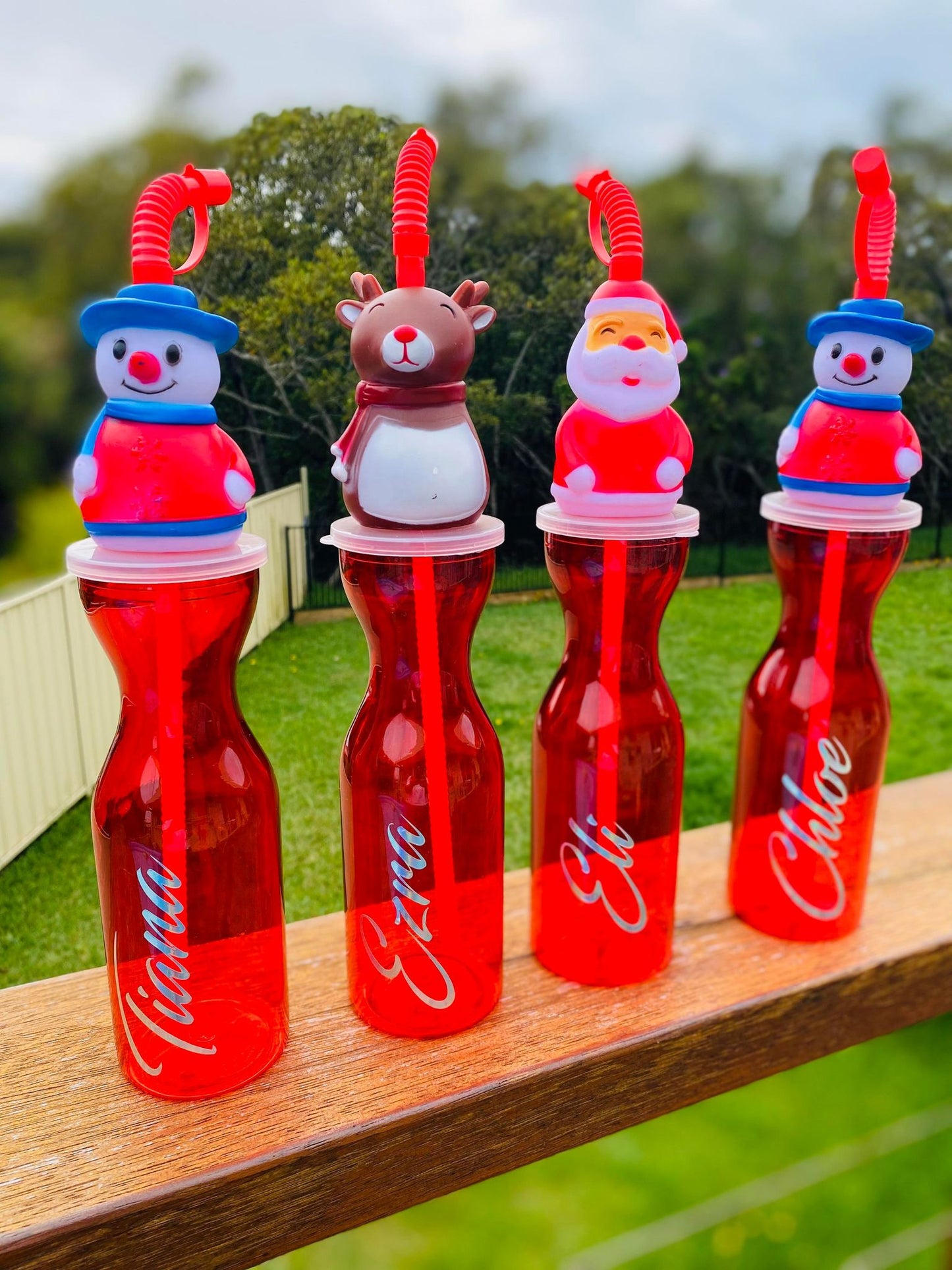 Christmas Bottle