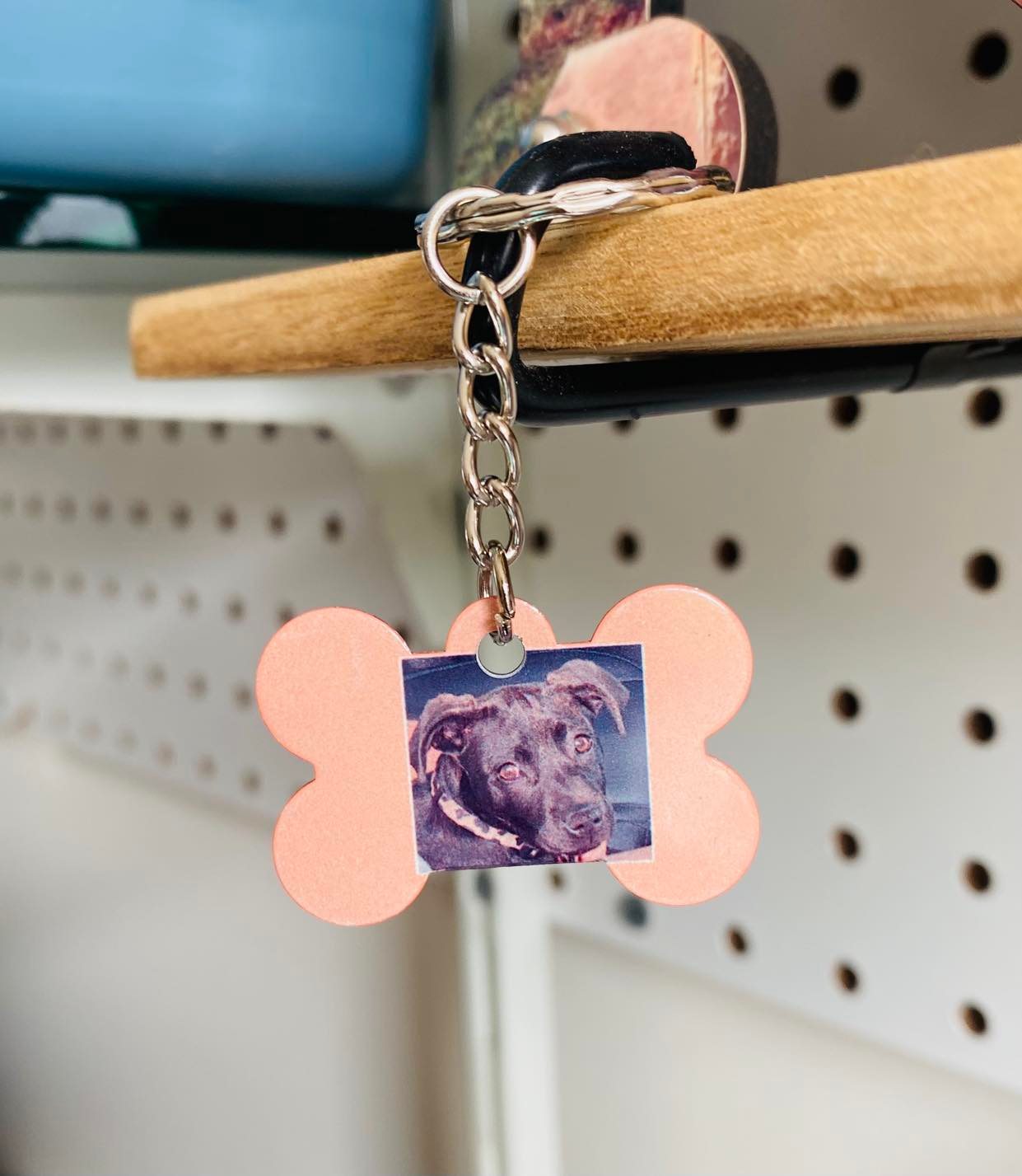 Dog/PET Tag
