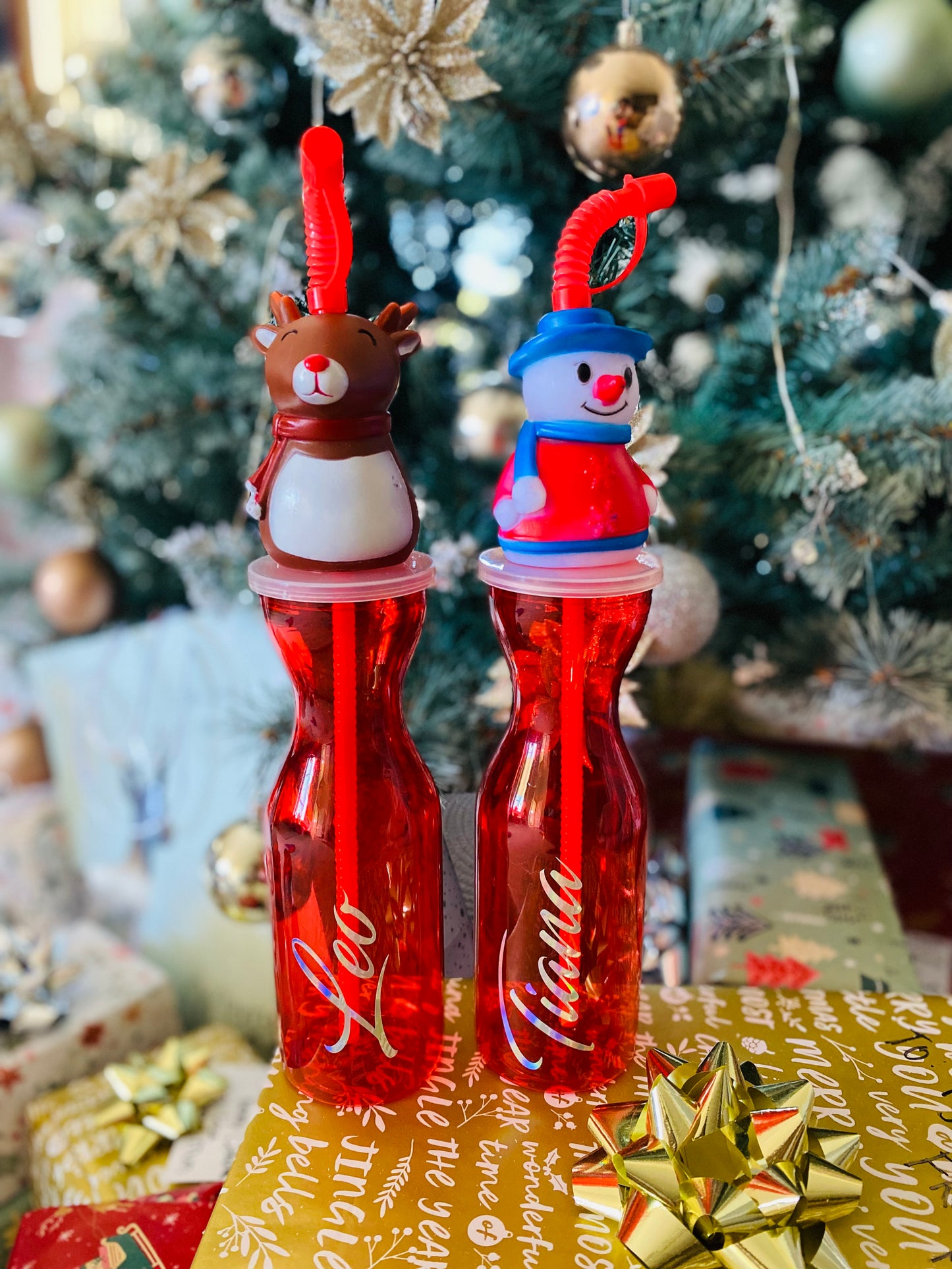 Christmas Bottle