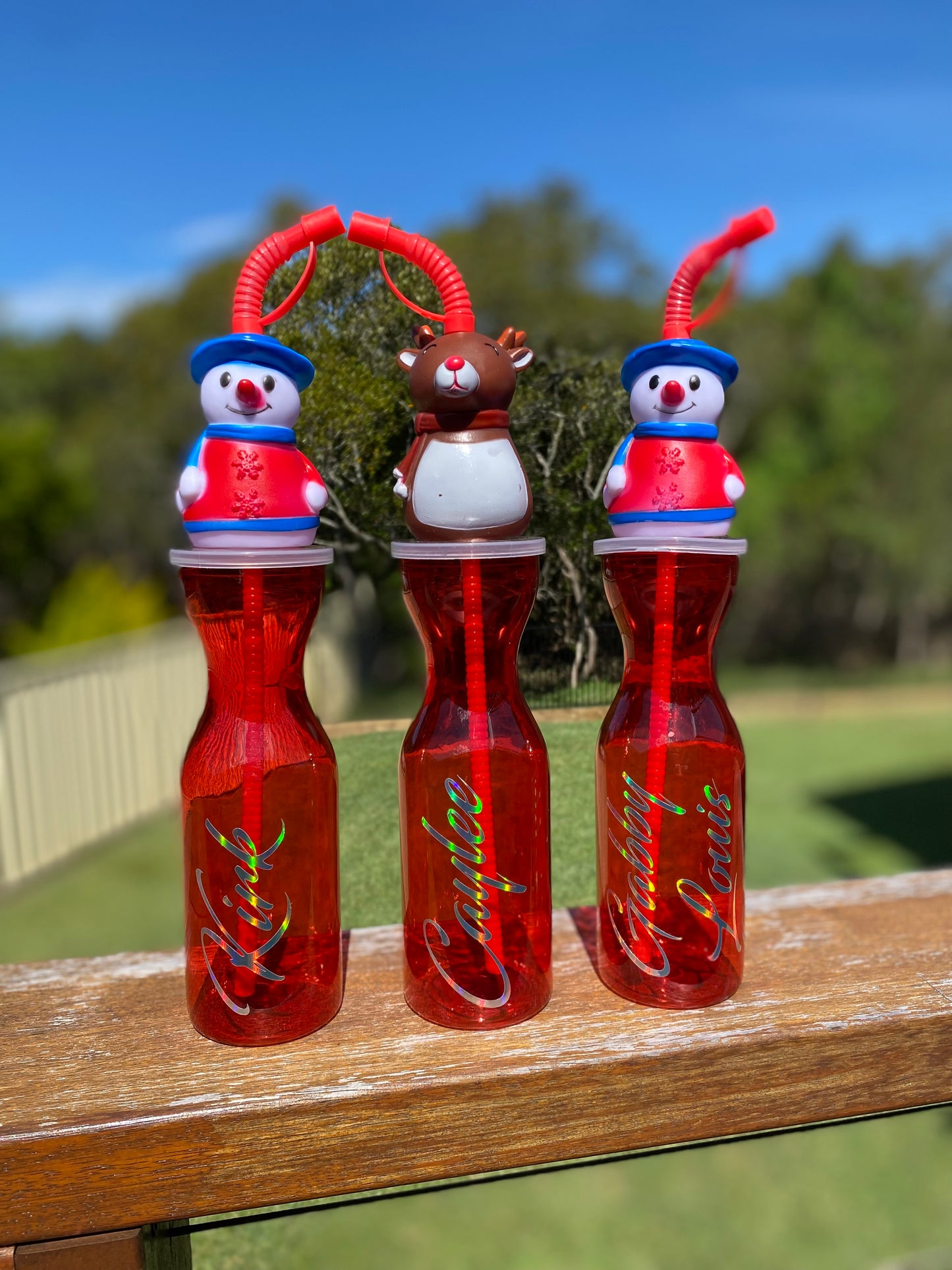 Christmas Bottle