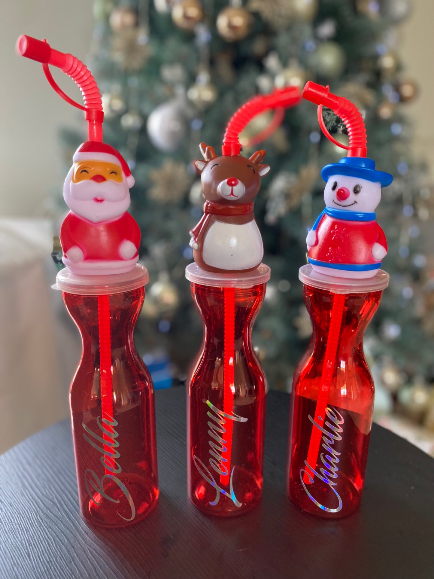 Christmas Bottle