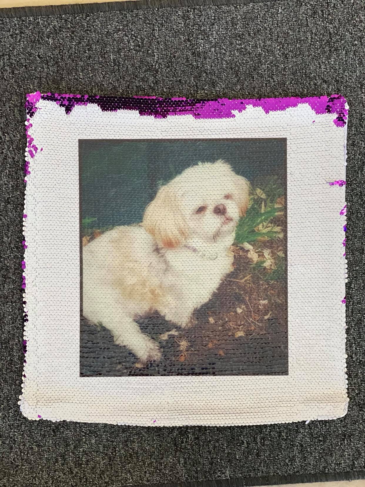 Pillow: Sequins Pillow: Reversible