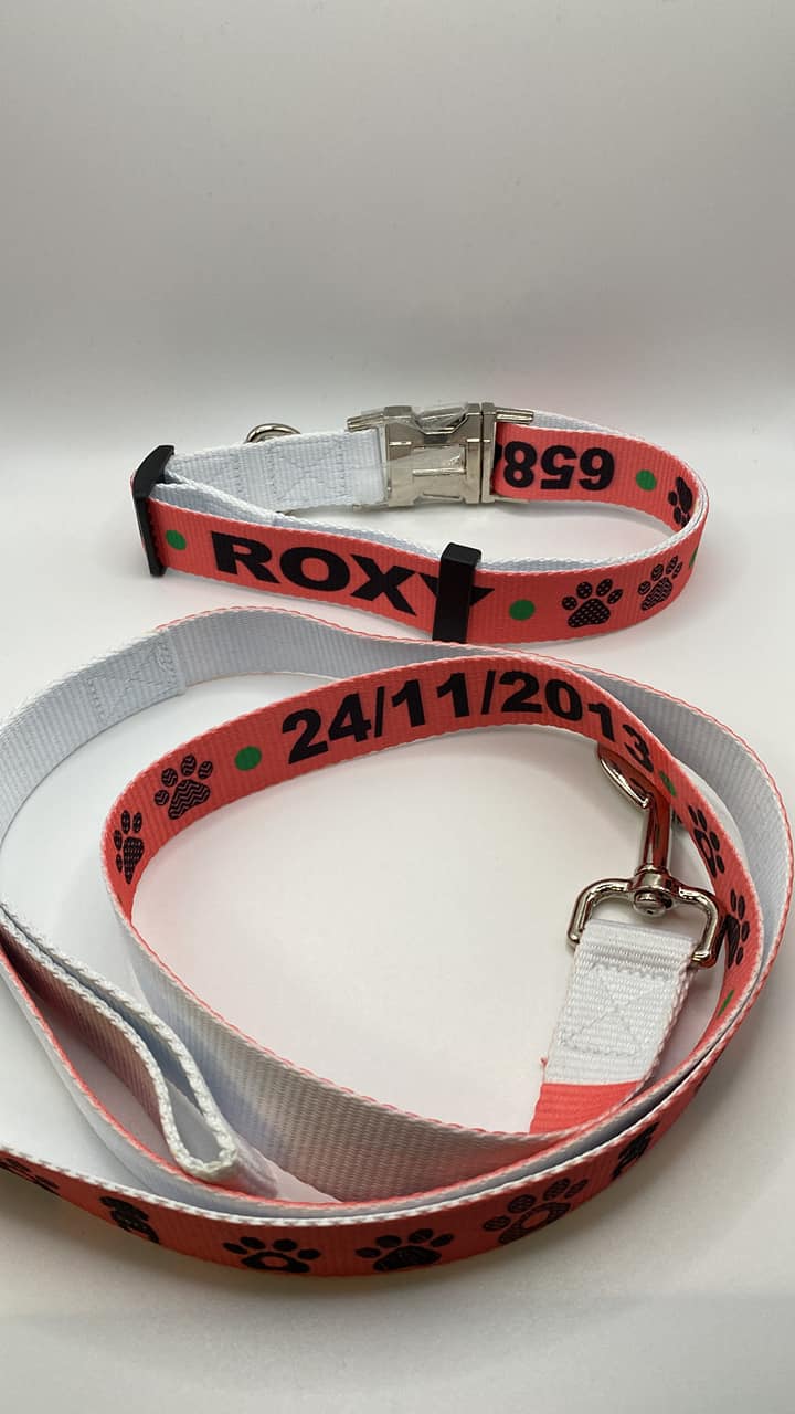 Dog collar and Dog Leash