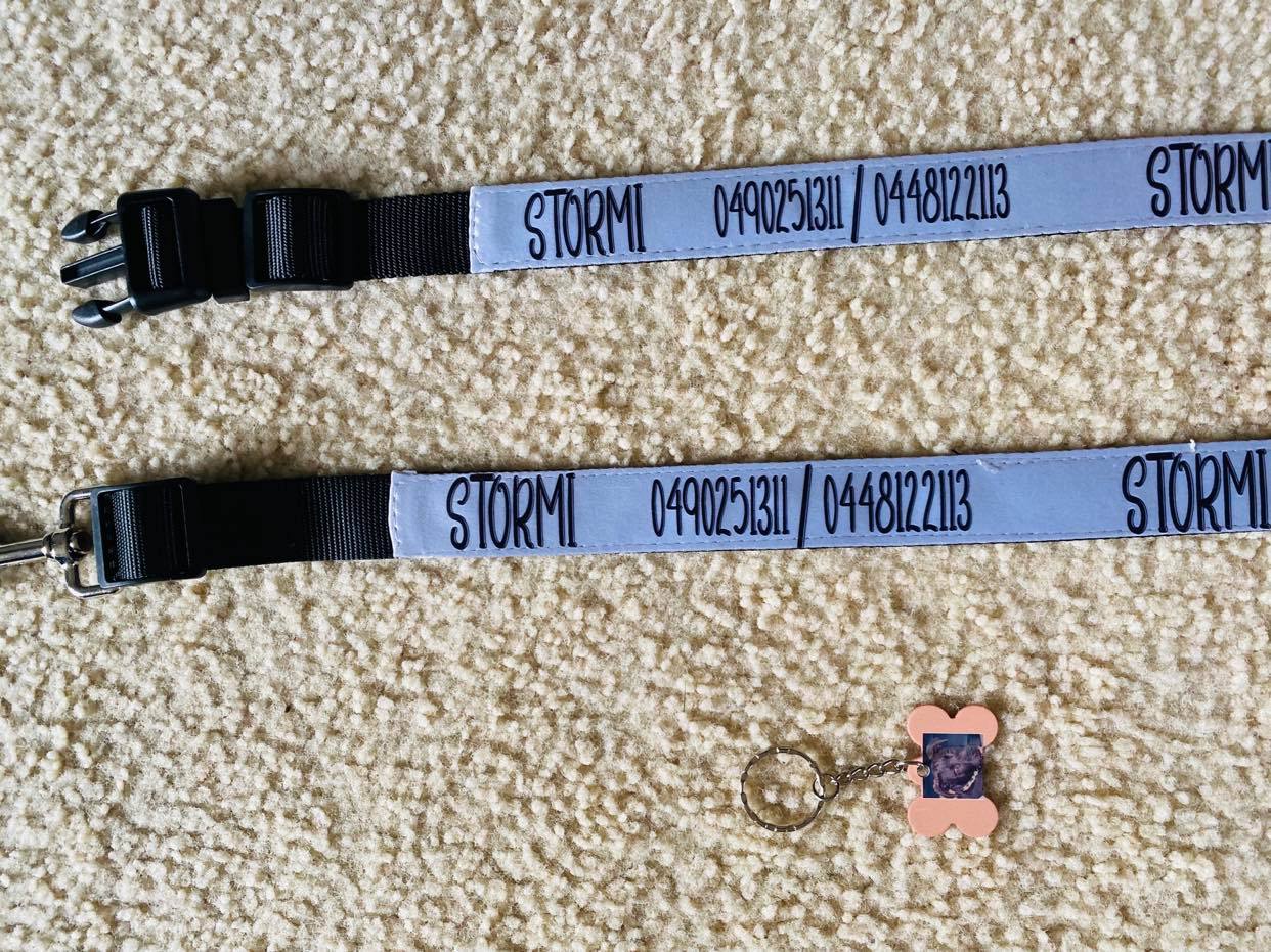 Dog collar and Dog Leash