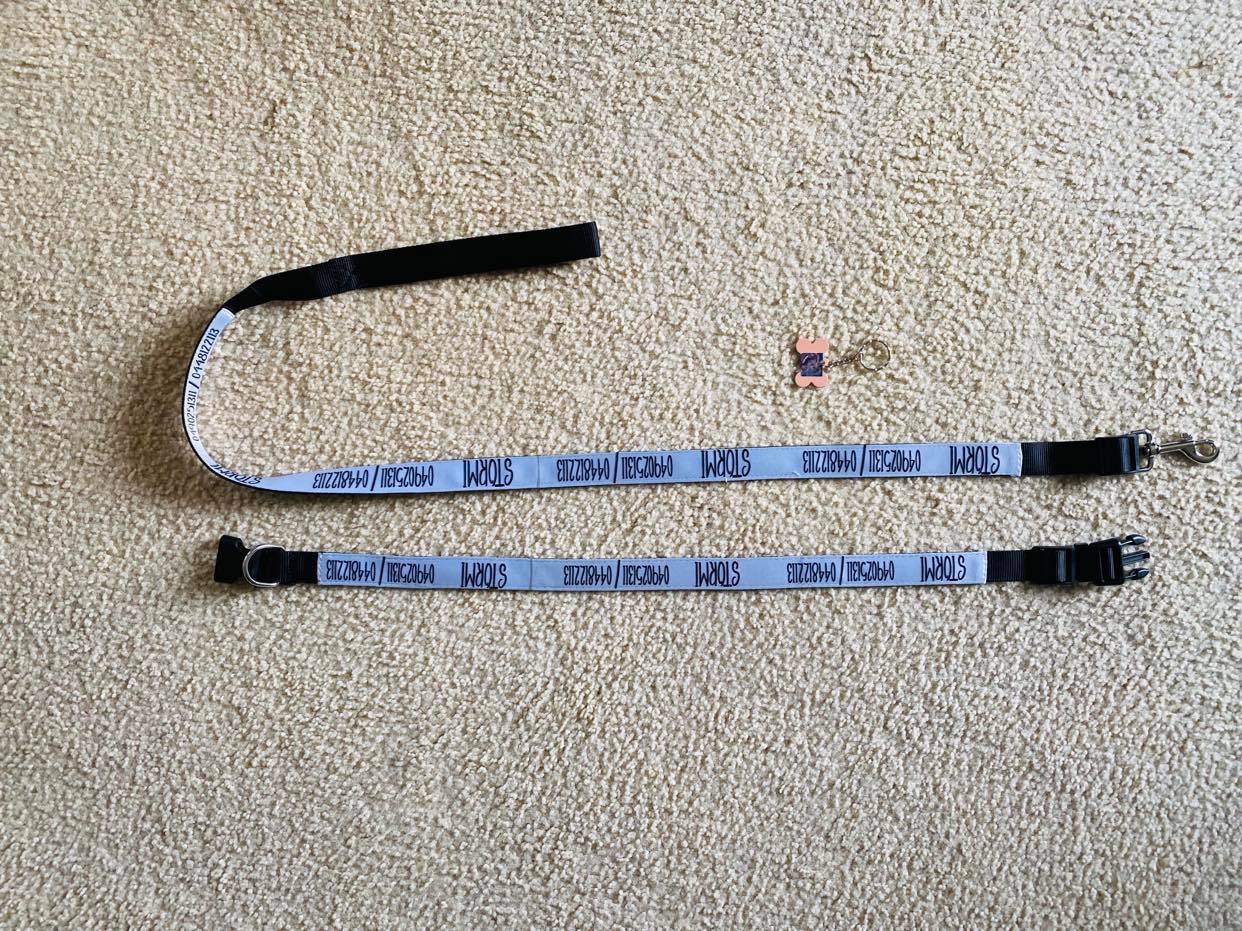 Dog collar and Dog Leash