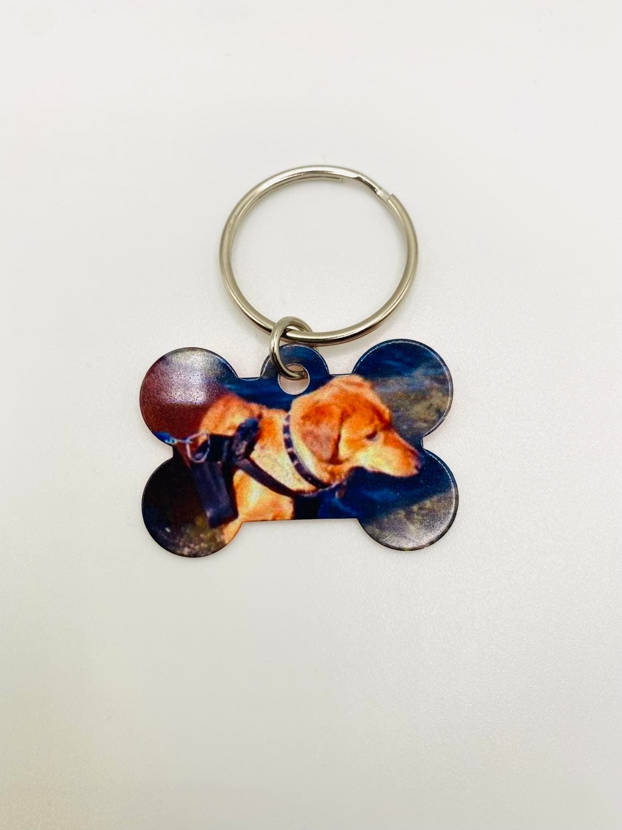 Dog/PET Tag