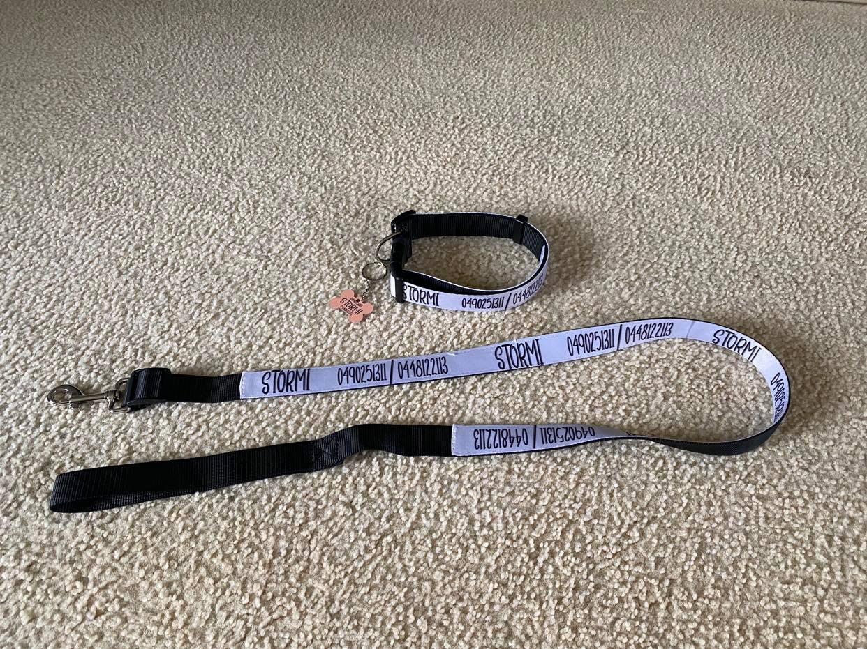 Dog collar and Dog Leash