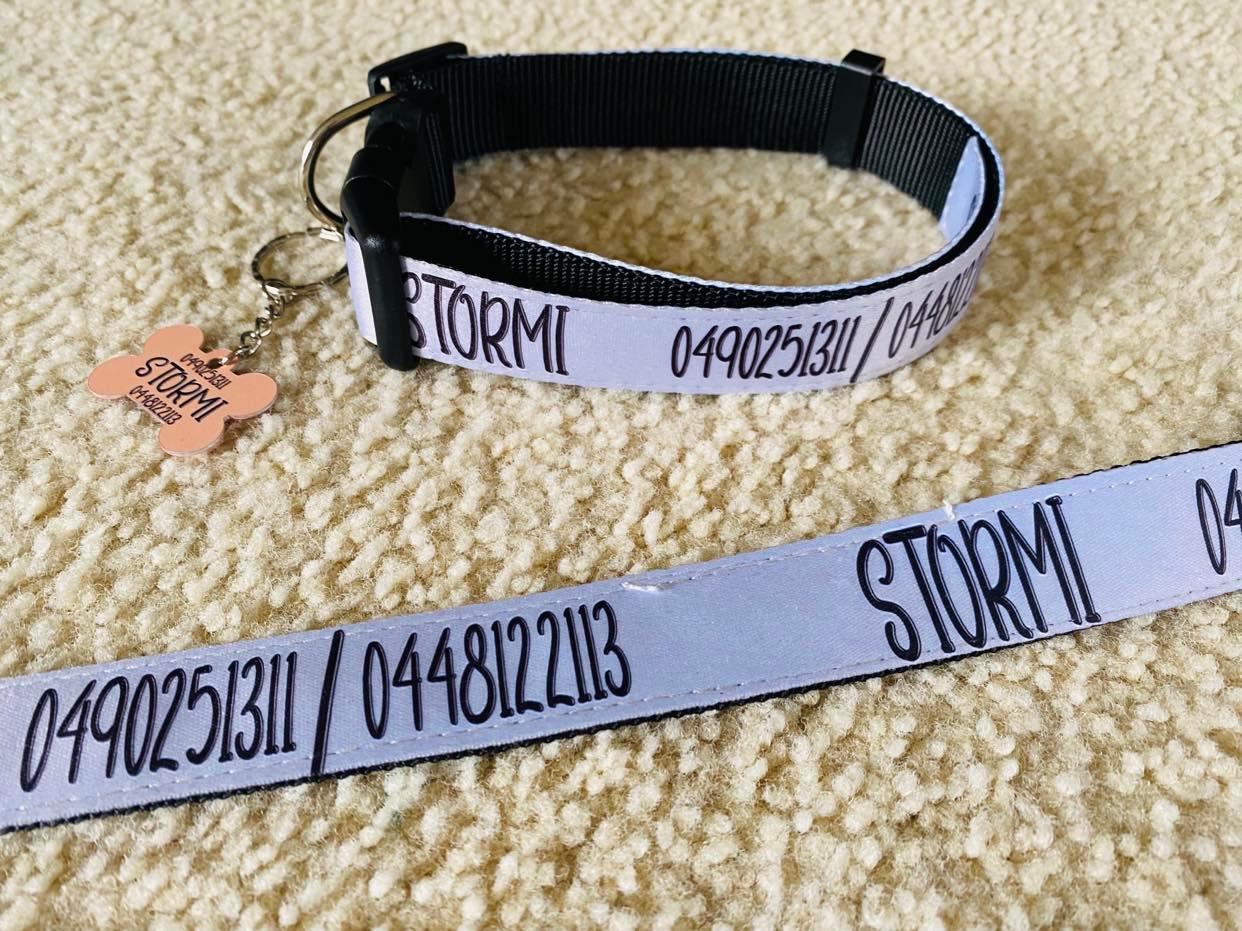 Dog collar and Dog Leash