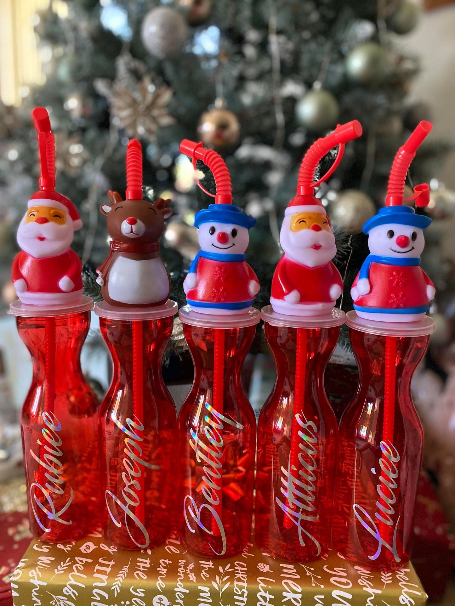 Christmas Bottle