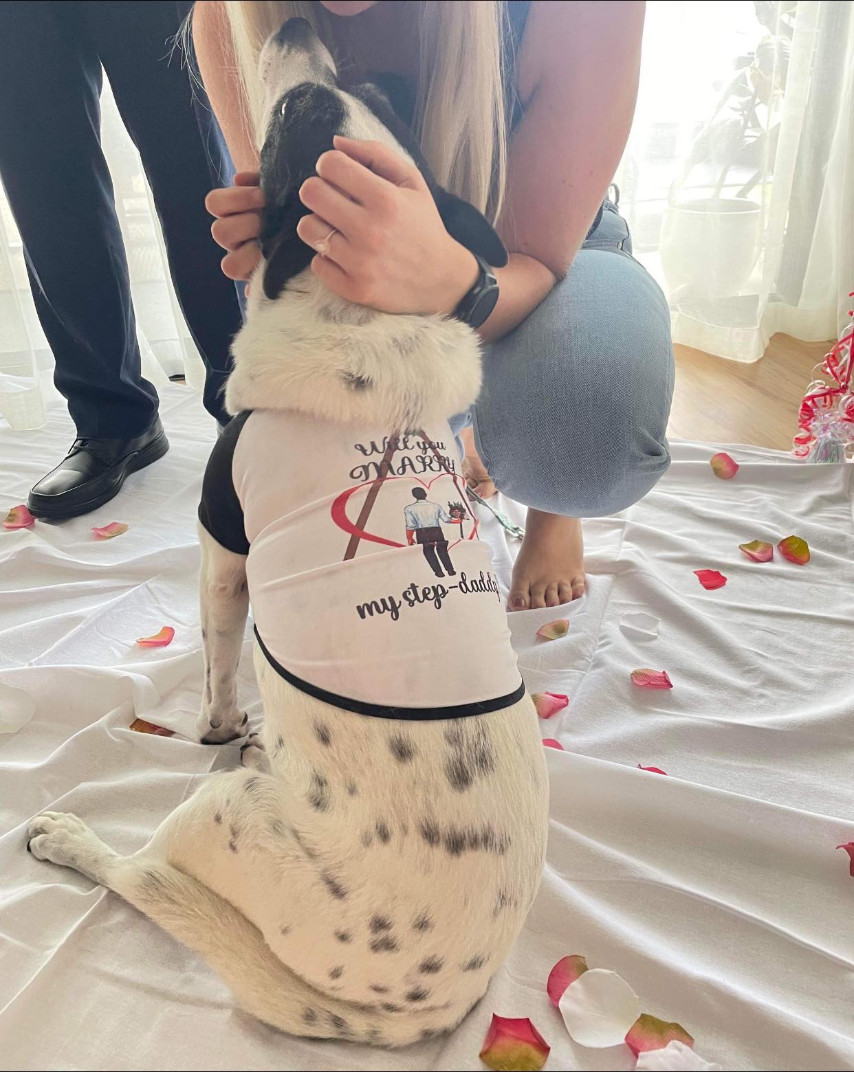 Dog Tee Shirt