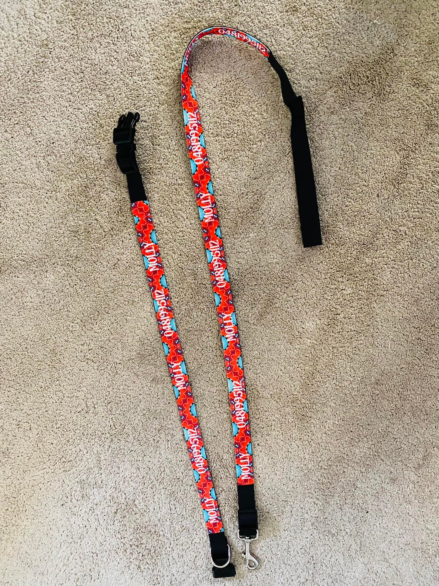 Dog collar and Dog Leash