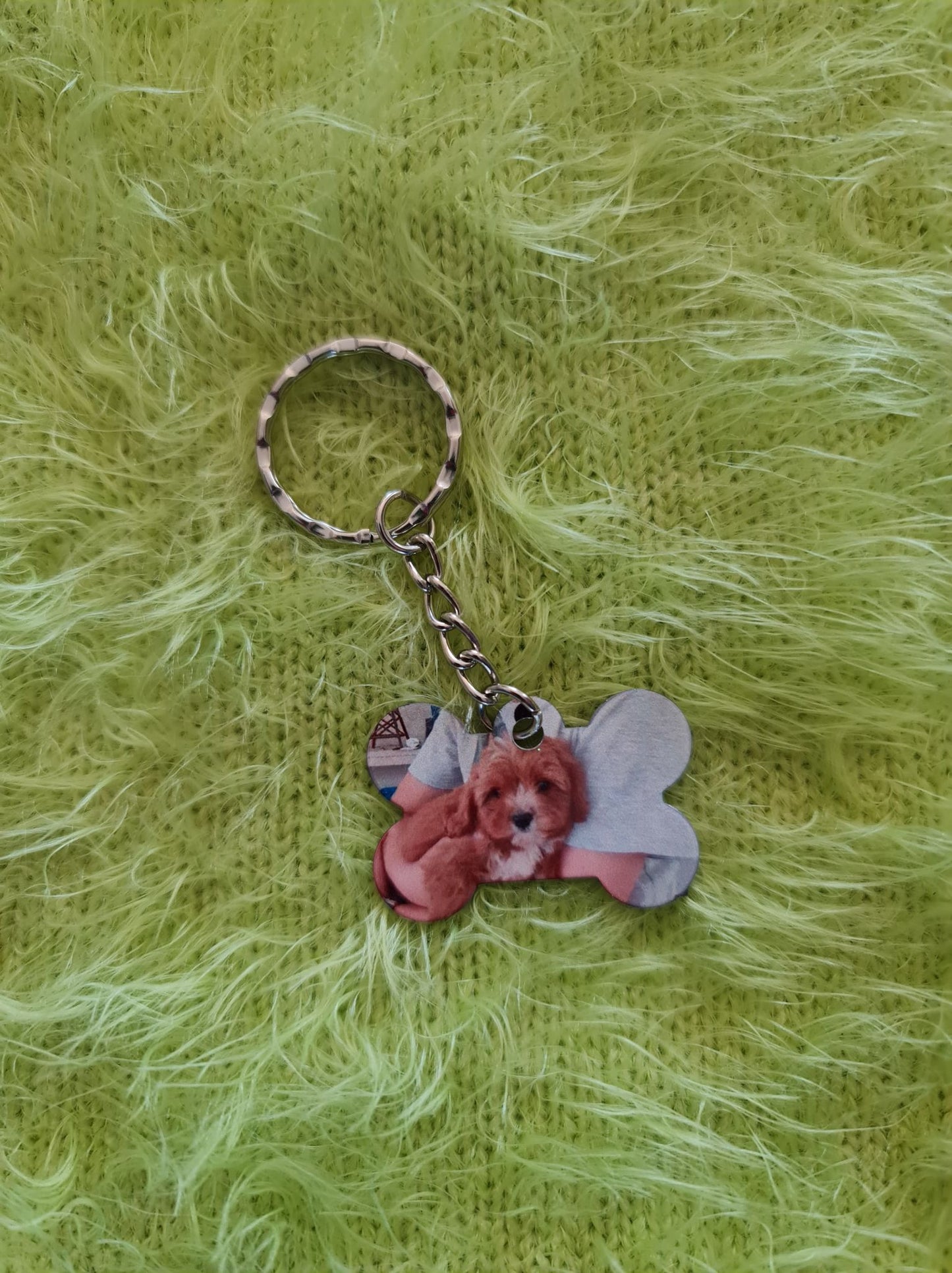 Dog/PET Tag
