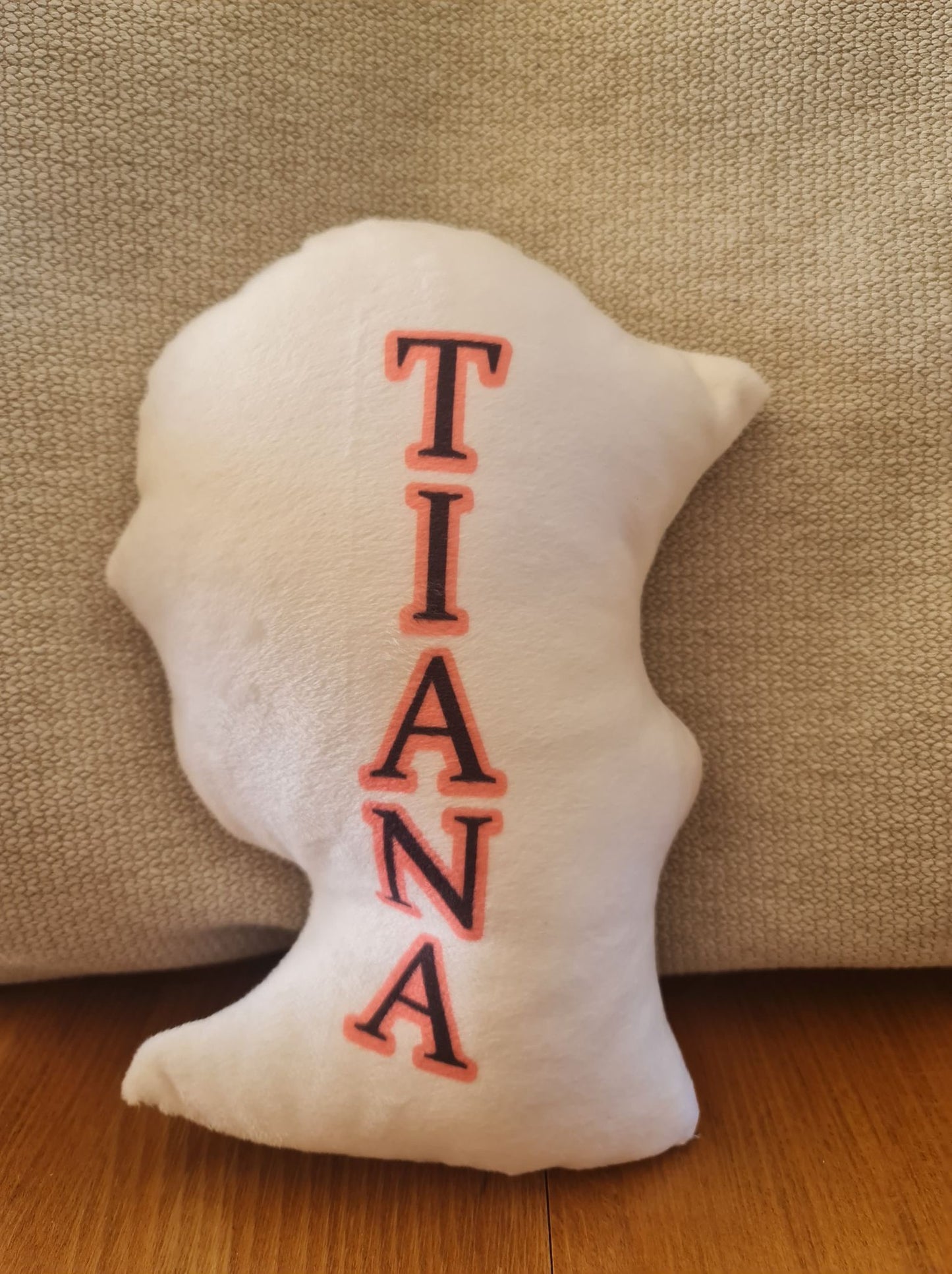 Mini-YOU Pillow