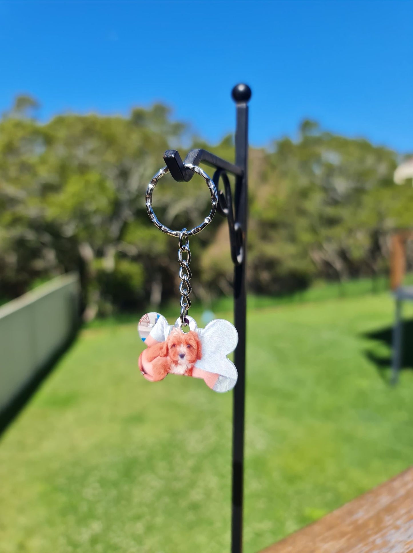 Dog/PET Tag